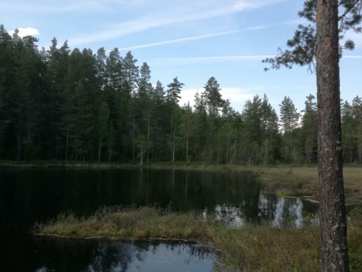 Presterudveien 125 Vikersund Exteriör bild