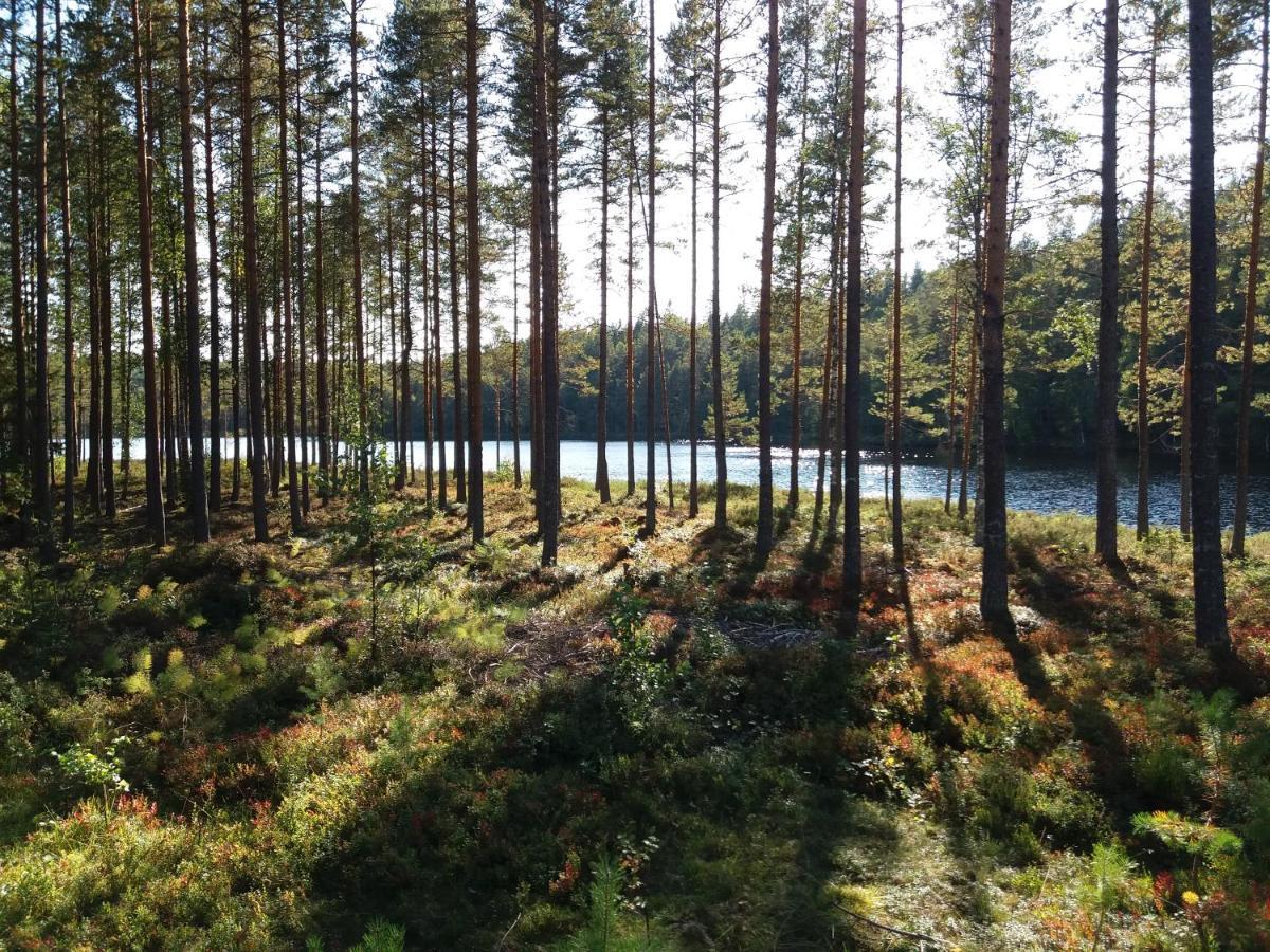 Presterudveien 125 Vikersund Exteriör bild