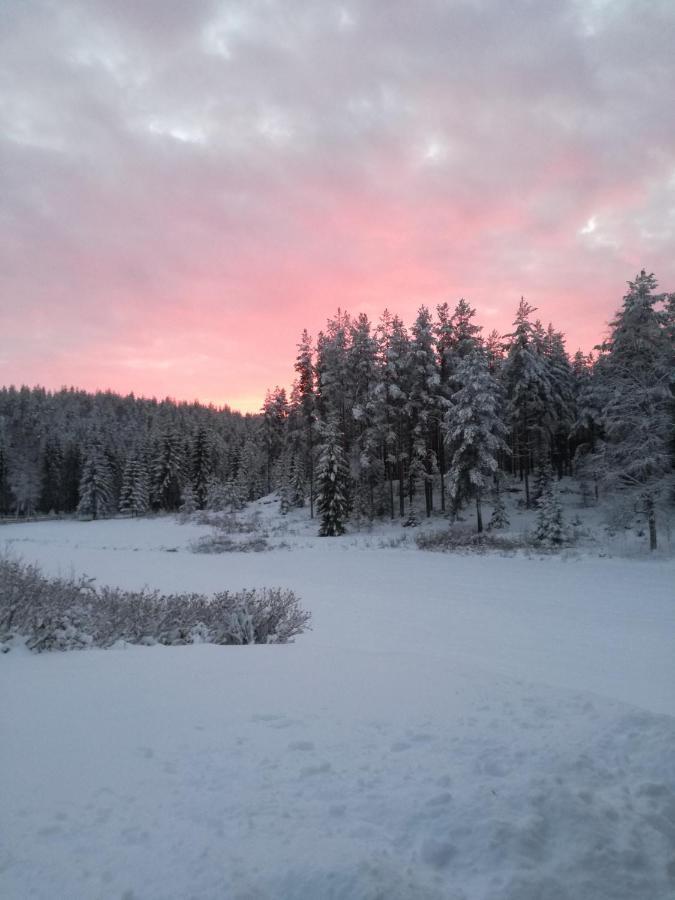 Presterudveien 125 Vikersund Exteriör bild