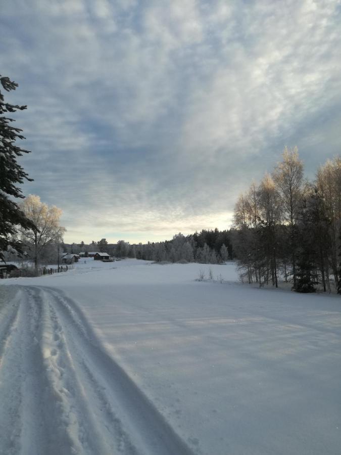 Presterudveien 125 Vikersund Exteriör bild