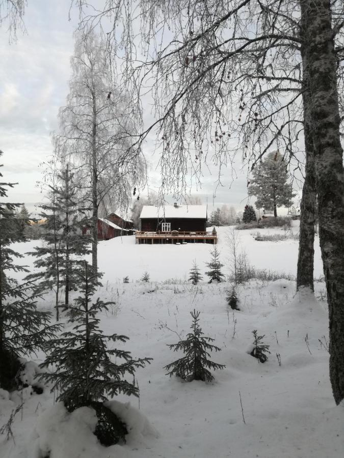 Presterudveien 125 Vikersund Exteriör bild