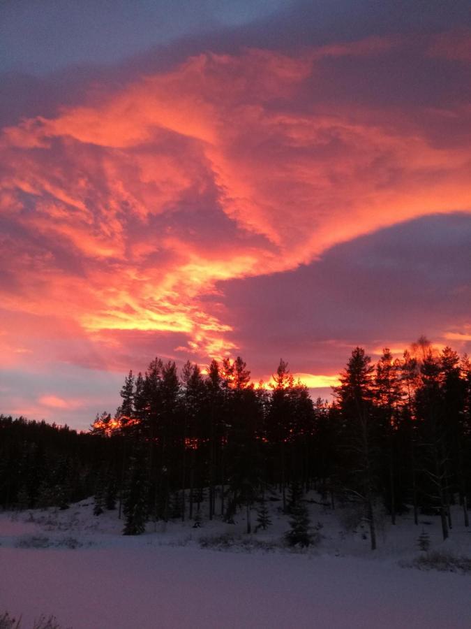 Presterudveien 125 Vikersund Exteriör bild