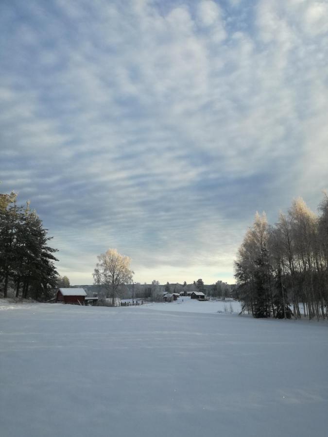 Presterudveien 125 Vikersund Exteriör bild